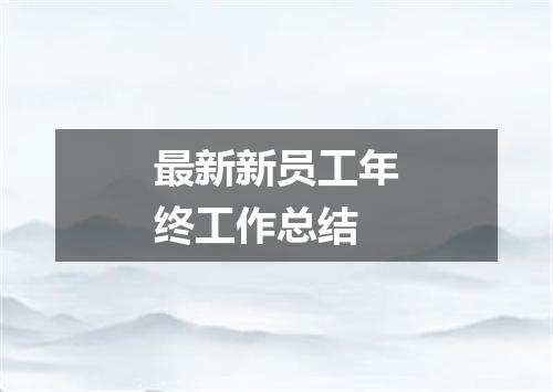 最新新员工年终工作总结