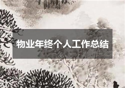 物业年终个人工作总结
