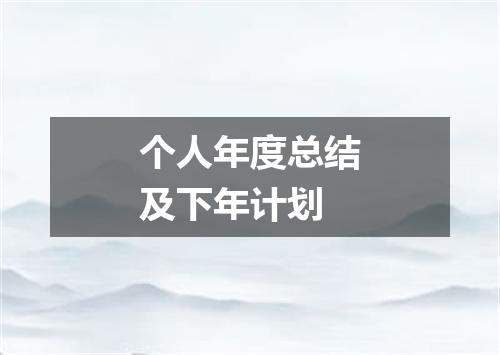 个人年度总结及下年计划