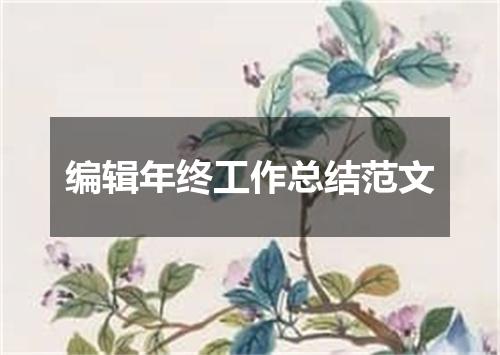 编辑年终工作总结范文