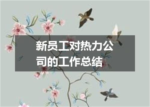 新员工对热力公司的工作总结