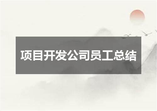 项目开发公司员工总结