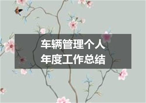 车辆管理个人年度工作总结
