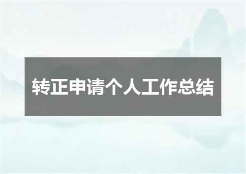 转正申请个人工作总结