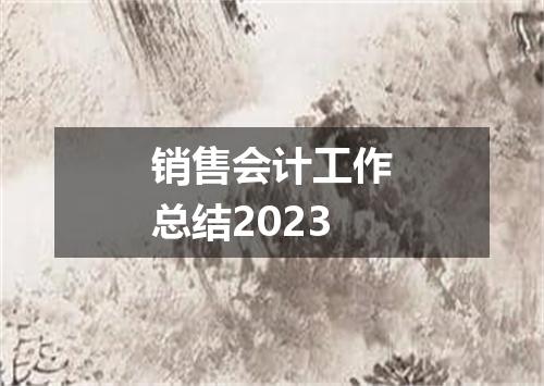 销售会计工作总结2023