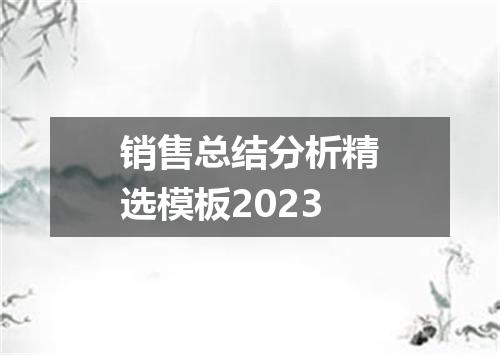 销售总结分析精选模板2023