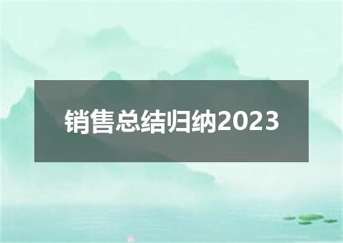 销售总结归纳2023