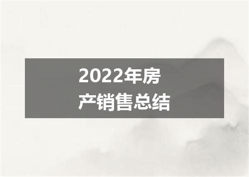 2022年房产销售总结