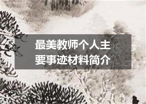 最美教师个人主要事迹材料简介