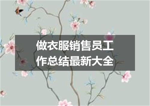 做衣服销售员工作总结最新大全