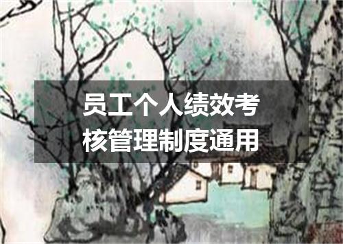 员工个人绩效考核管理制度通用