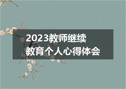 2023教师继续教育个人心得体会