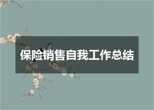 保险销售自我工作总结