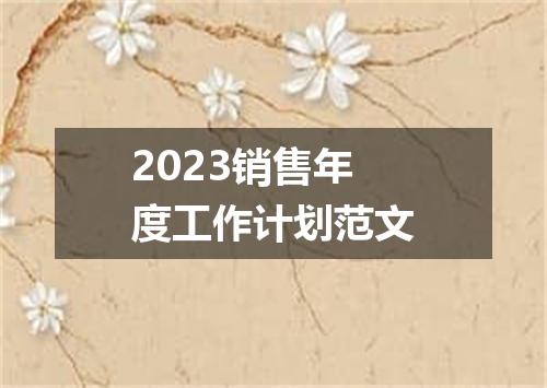 2023销售年度工作计划范文