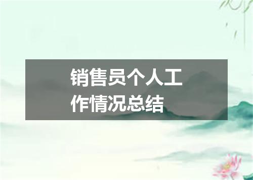 销售员个人工作情况总结