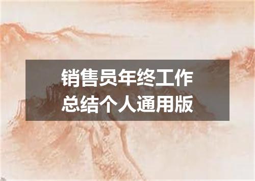 销售员年终工作总结个人通用版