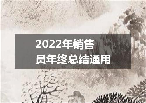 2022年销售员年终总结通用