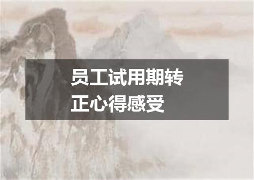 员工试用期转正心得感受