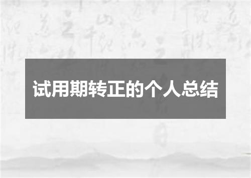 试用期转正的个人总结
