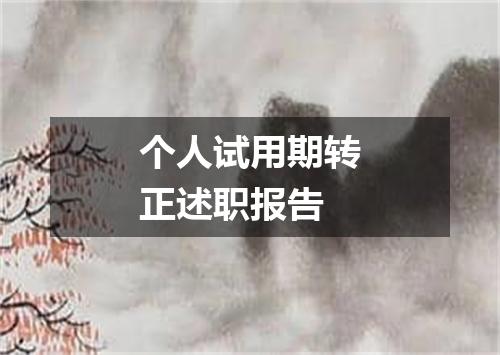 个人试用期转正述职报告