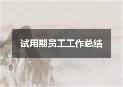 试用期员工工作总结