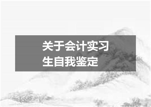 关于会计实习生自我鉴定