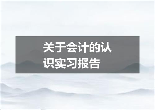 关于会计的认识实习报告