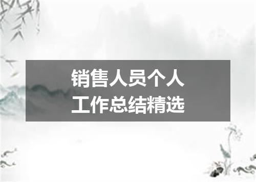 销售人员个人工作总结精选
