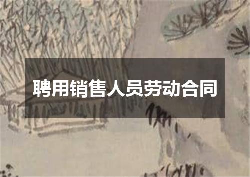 聘用销售人员劳动合同
