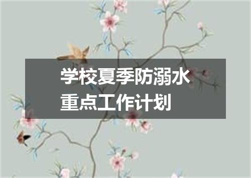 学校夏季防溺水重点工作计划