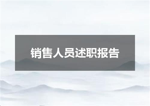 销售人员述职报告