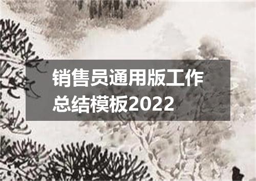 销售员通用版工作总结模板2022