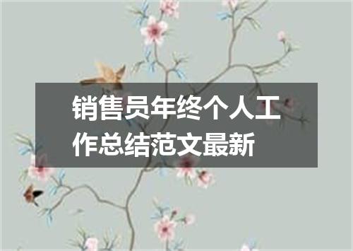 销售员年终个人工作总结范文最新