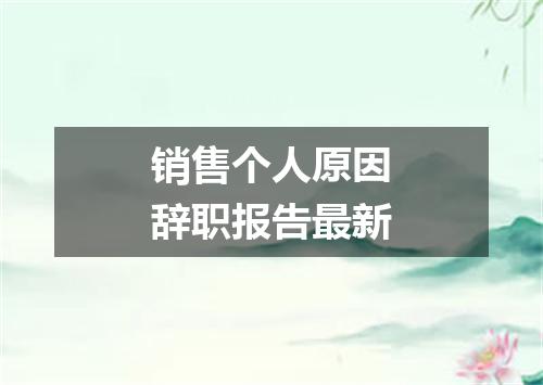 销售个人原因辞职报告最新