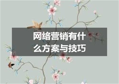 网络营销有什么方案与技巧