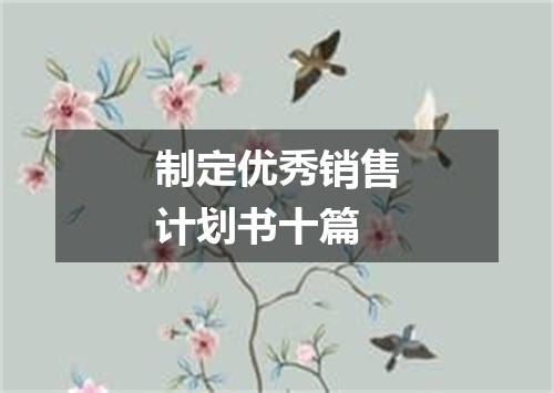 制定优秀销售计划书十篇