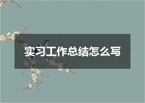 实习工作总结怎么写
