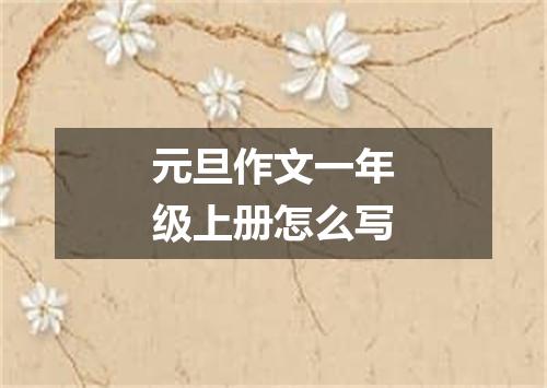 元旦作文一年级上册怎么写