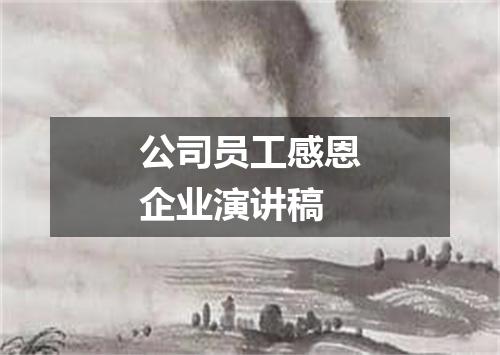公司员工感恩企业演讲稿