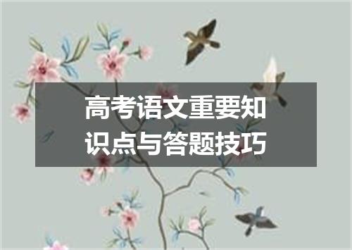 高考语文重要知识点与答题技巧