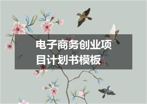 电子商务创业项目计划书模板