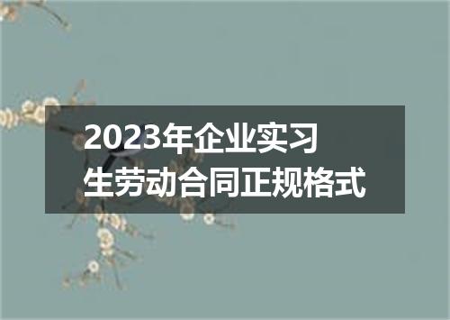 2023年企业实习生劳动合同正规格式