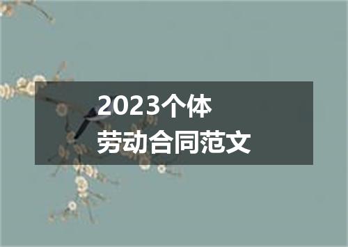 2023个体劳动合同范文