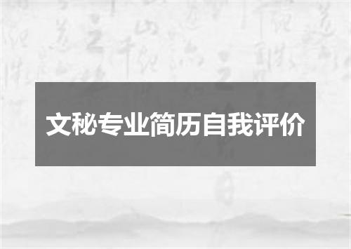 文秘专业简历自我评价