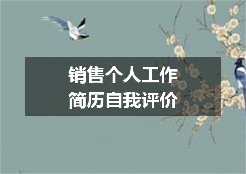 销售个人工作简历自我评价