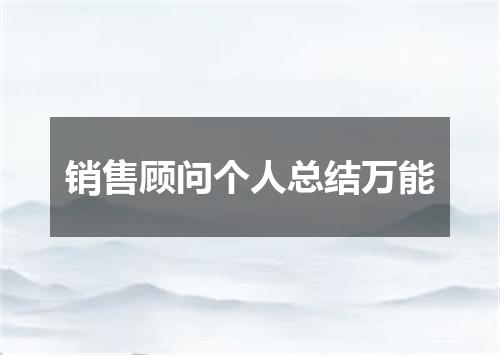 销售顾问个人总结万能