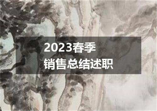 2023春季销售总结述职