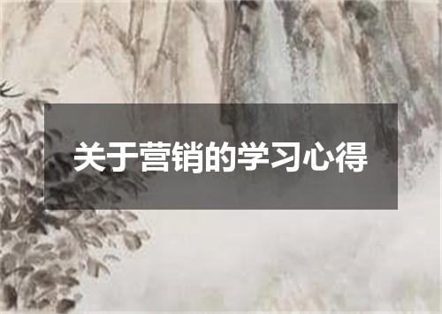 关于营销的学习心得