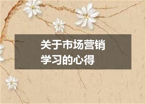关于市场营销学习的心得