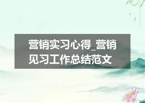 营销实习心得_营销见习工作总结范文